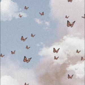 Meet your Posher, Sasha